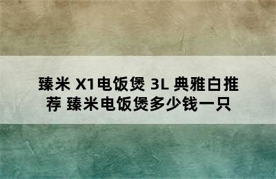 臻米 X1电饭煲 3L 典雅白推荐 臻米电饭煲多少钱一只